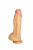 2300-00 BX DD 2300-00 BX DD