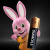 Батарейка DURACELL-AA "пальчиковая" (AA/LR6) Батарейка DURACELL-AA "пальчиковая" (AA/LR6)